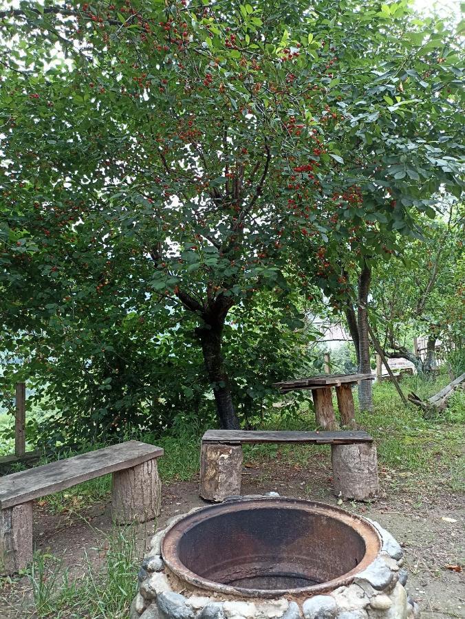 Green Garden Ijevan Exterior foto