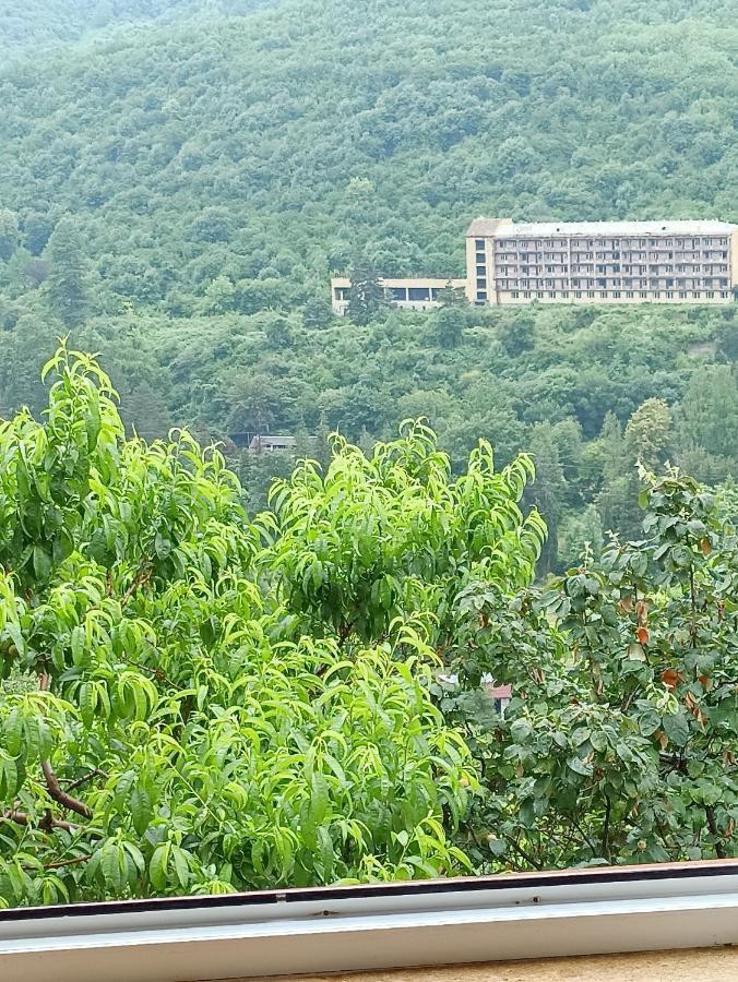 Green Garden Ijevan Exterior foto