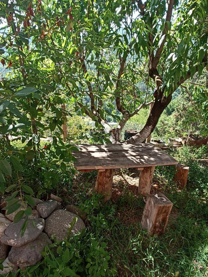 Green Garden Ijevan Exterior foto