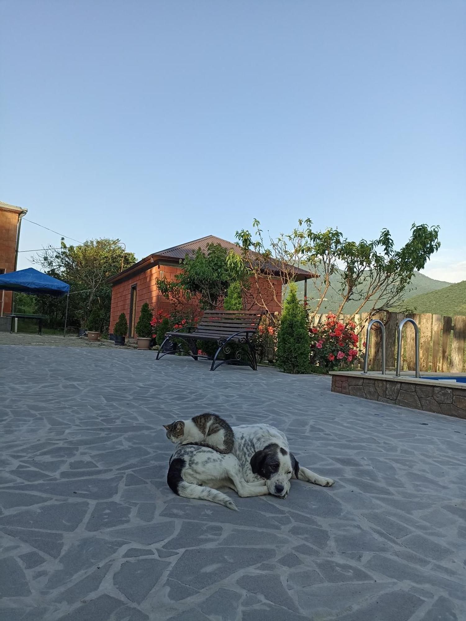 Green Garden Ijevan Exterior foto
